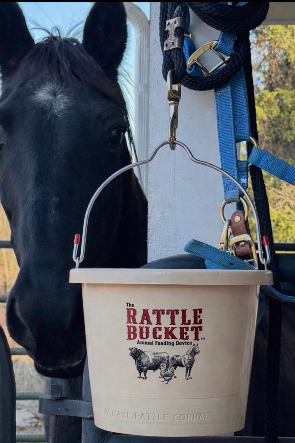 The Rattle Bucket - Shake, Rattle, Corral Your livestock
