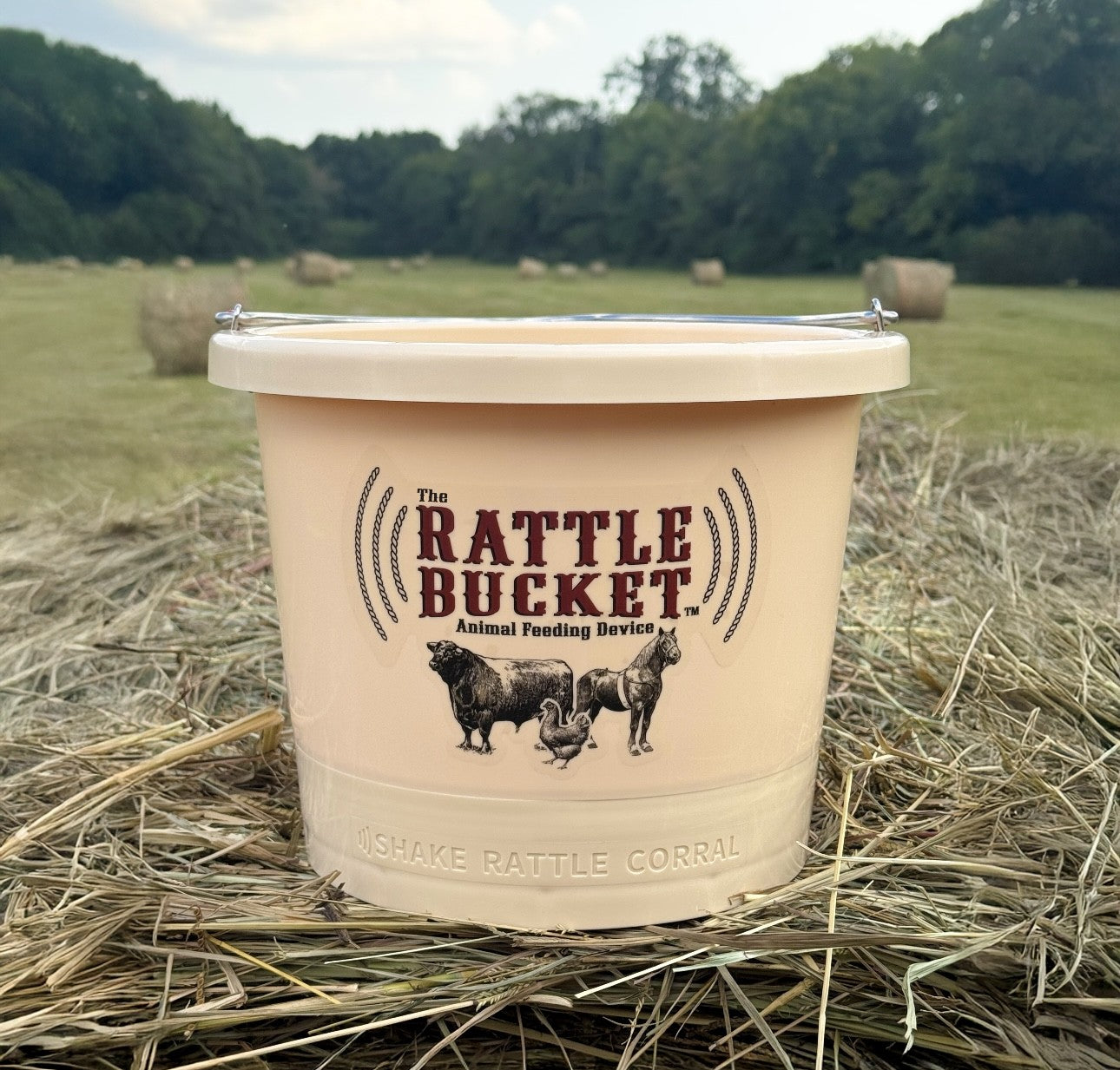Click Here --> The Rattle Bucket - Shake, Rattle, Corral your livestock